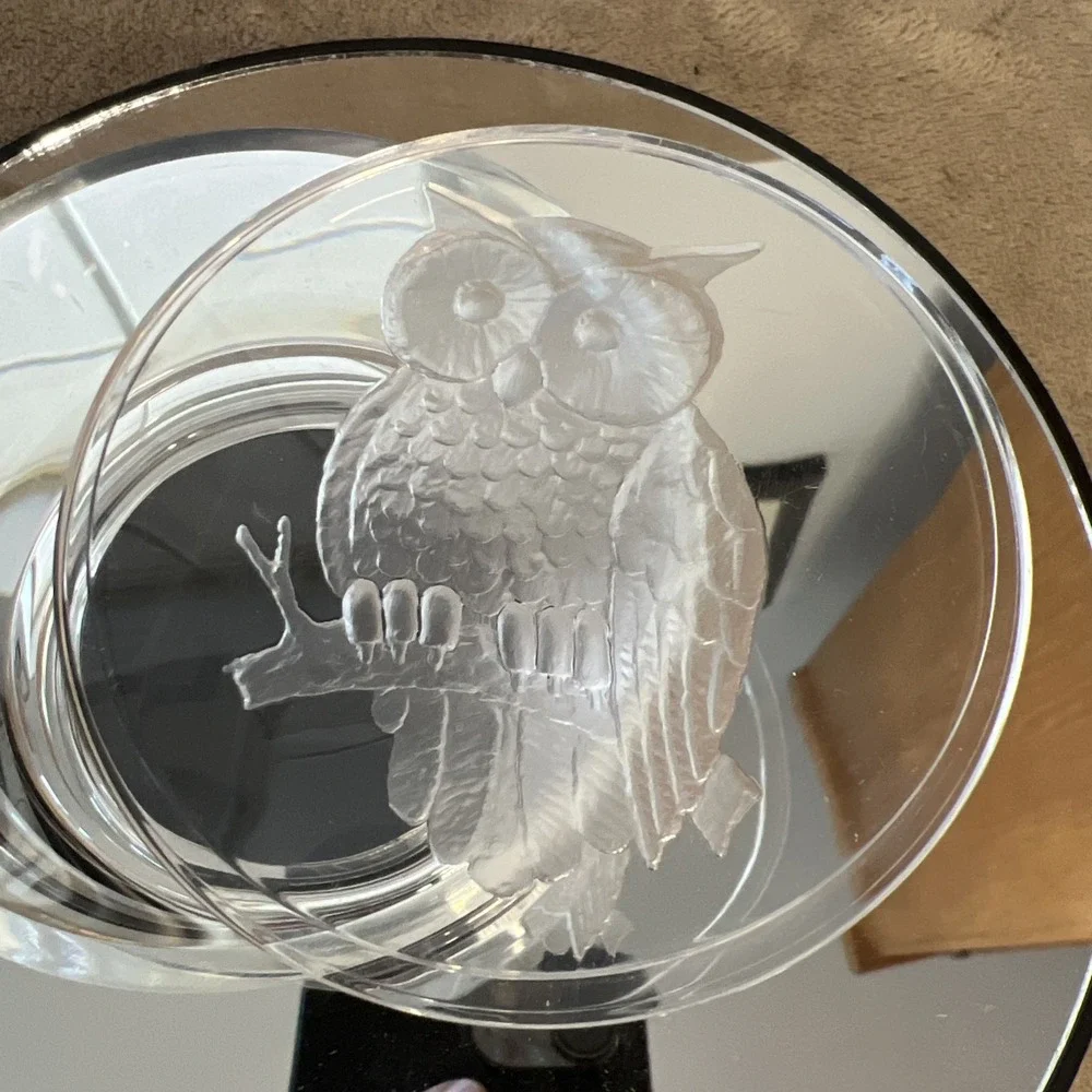 Vintage Clear Acrylic‎ Lidded Trinket Box Etched Owl Felt Bottom
